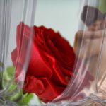 Cómo se lleva un hombre Leo con una mujer Libra